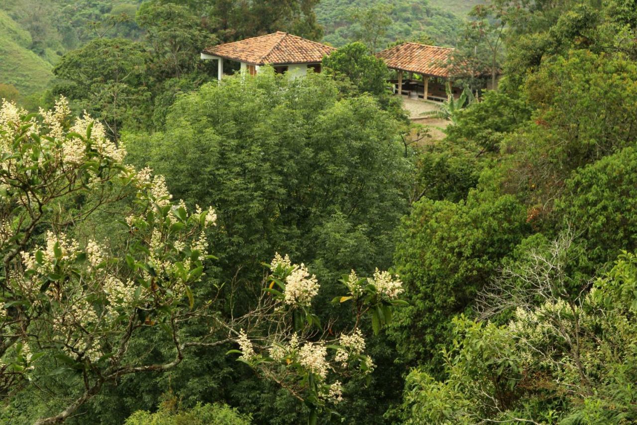 Eco Hotel El Columpio Саленто Екстериор снимка